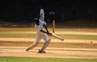 cricket